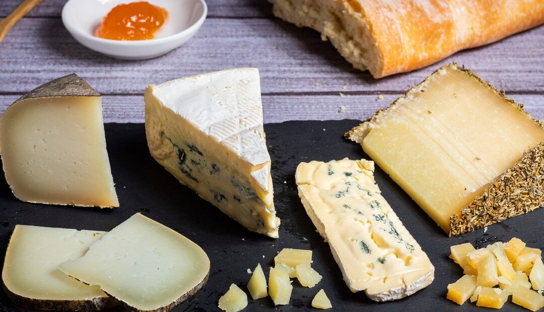 Quesos de vaca, cabra y oveja: diferencias y propiedades, ¿Cuál es mejor?